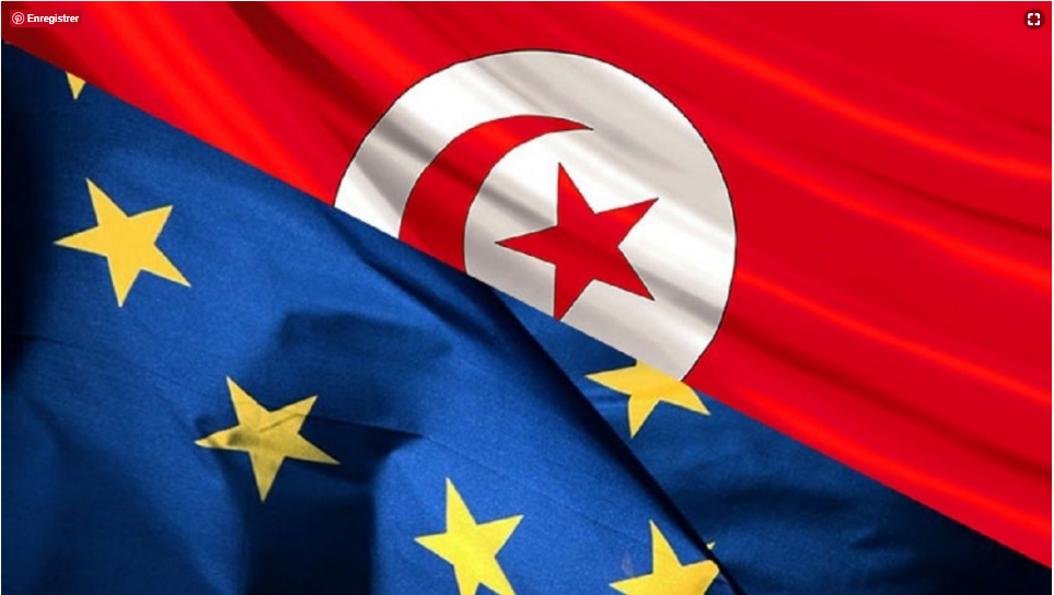 Evaluation de l’impact de la libéralisation des services dans le cadre de l’Accord de Libre Echange Complet et Approfondi (ALECA) entre la Tunisie et l’UE. Juillet 2016 (www.itceq.tn)